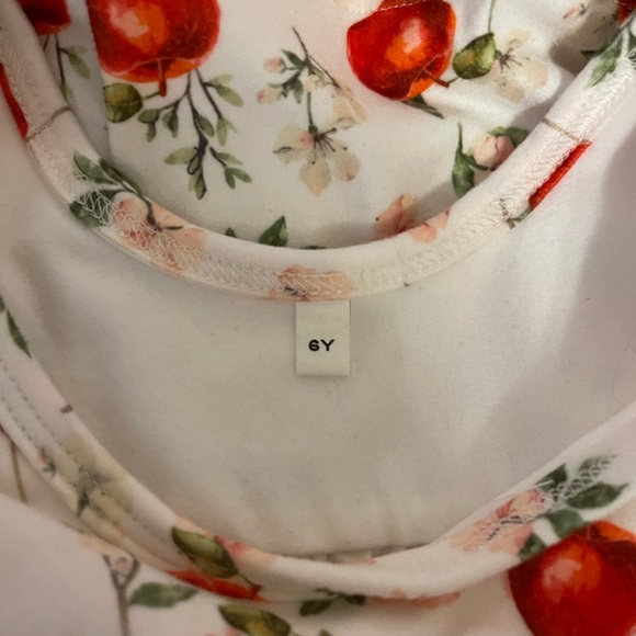 🔴🔴🔴SOLD🔴🔴🔴 Jane+ Jo Girls Apple Floral Dress size 6Y EUC - Picture 2 of 3